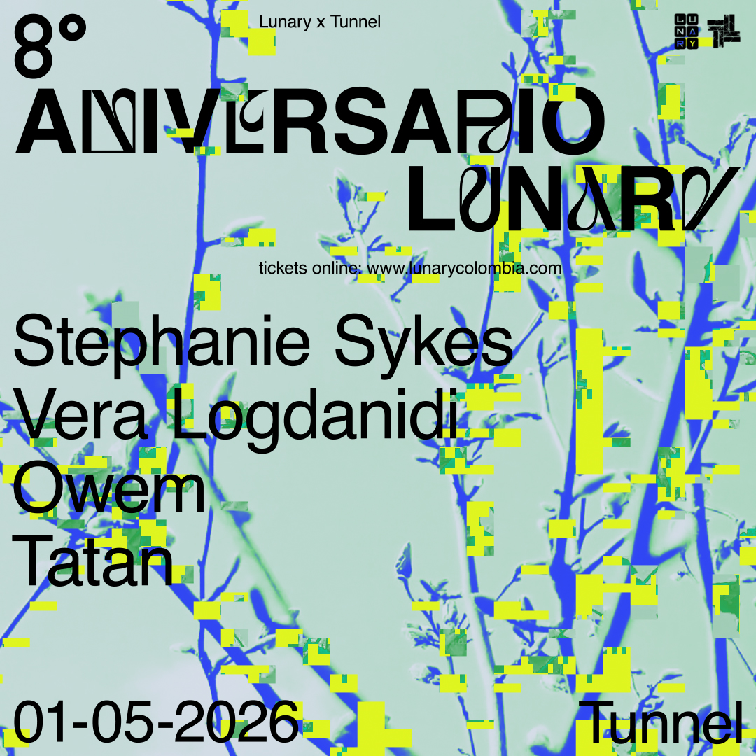 1x1 (2)